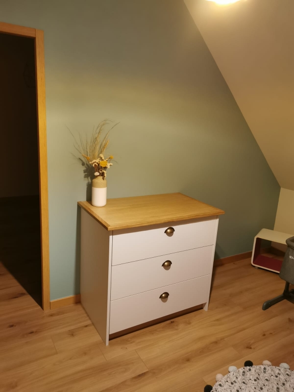 Launay Ludovic Peintre RunanPEINTURE ET DECORATION INT 8